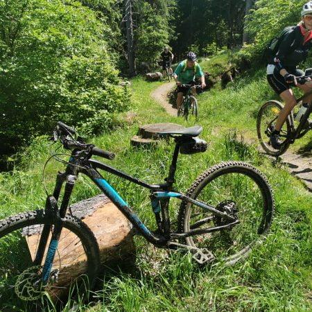 MTB - tur udelukkende på spor